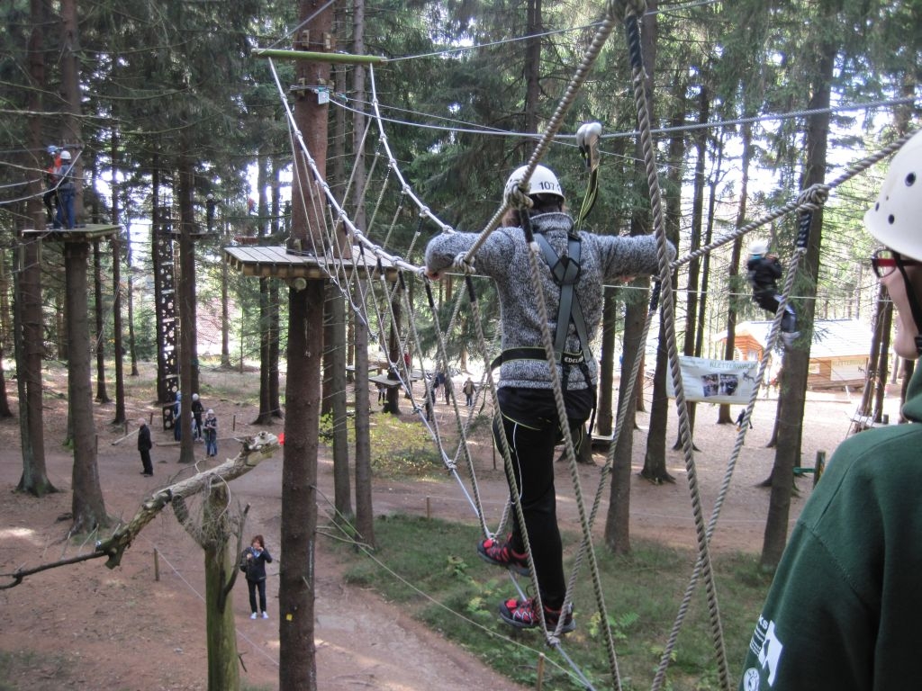 Kletterwald 2013