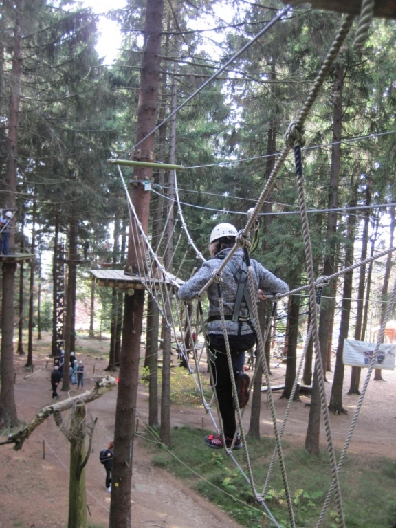 Kletterwald 2013