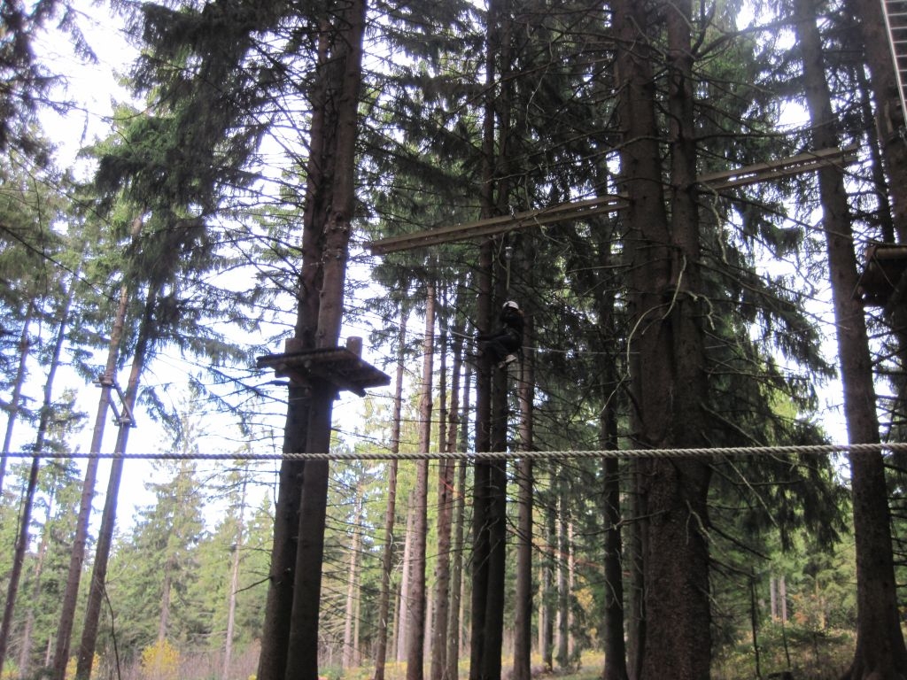Kletterwald 2013